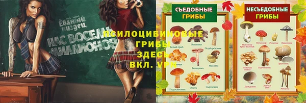 спайс Баксан