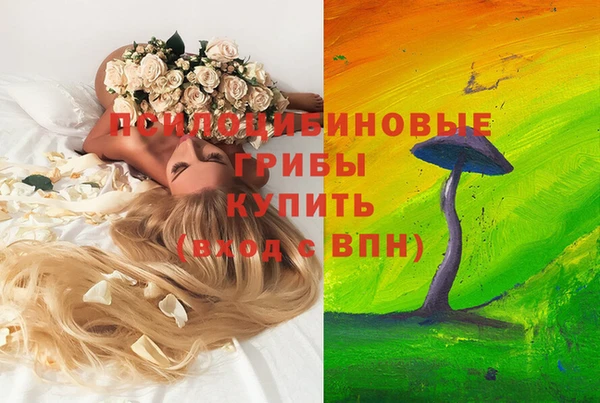 спайс Баксан
