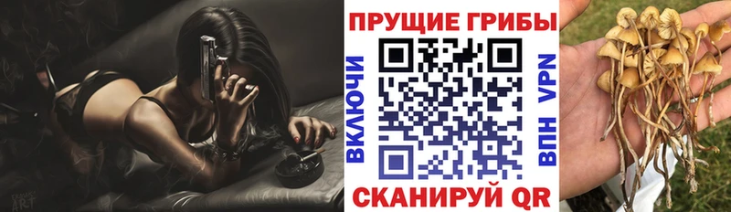 Галлюциногенные грибы ЛСД  Суджа 