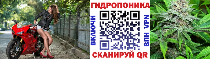 hydra зеркало Суджа Каннабис White Widow купить